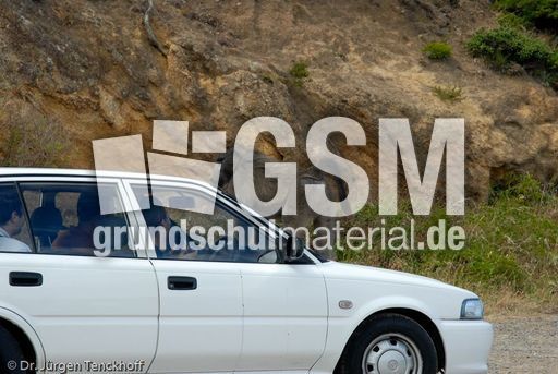 Tschakma Pavian (22 von 48).jpg